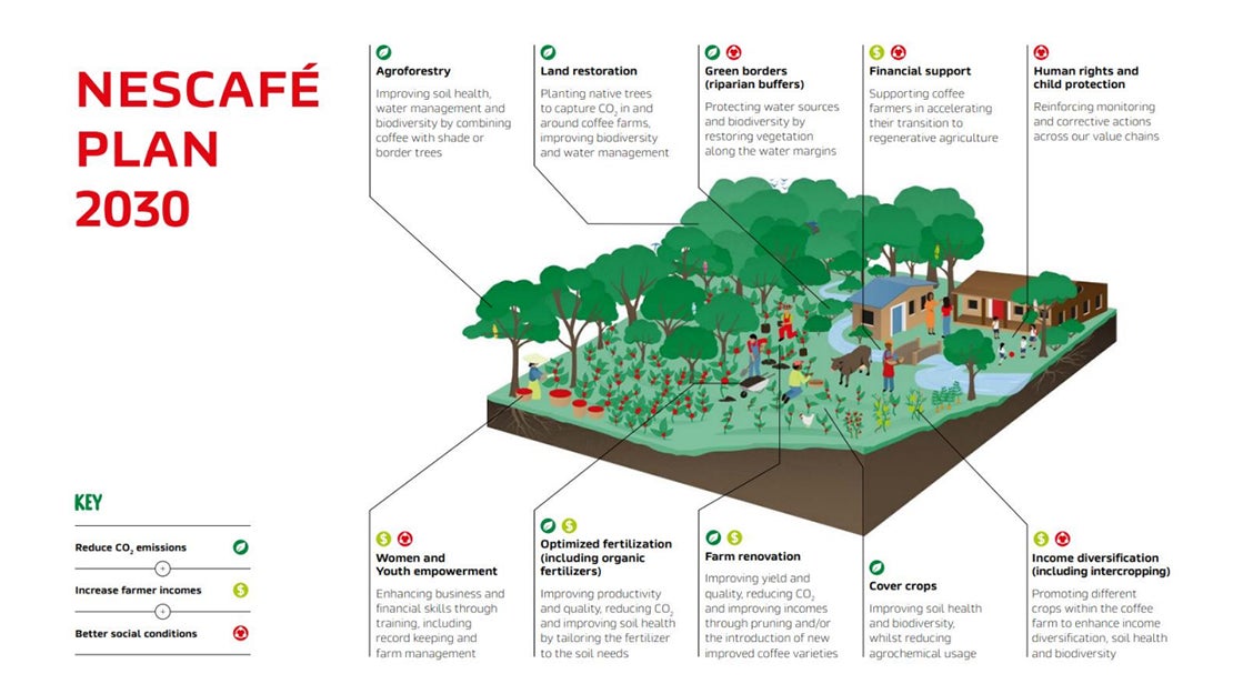 Nescafé Plan 2030 box