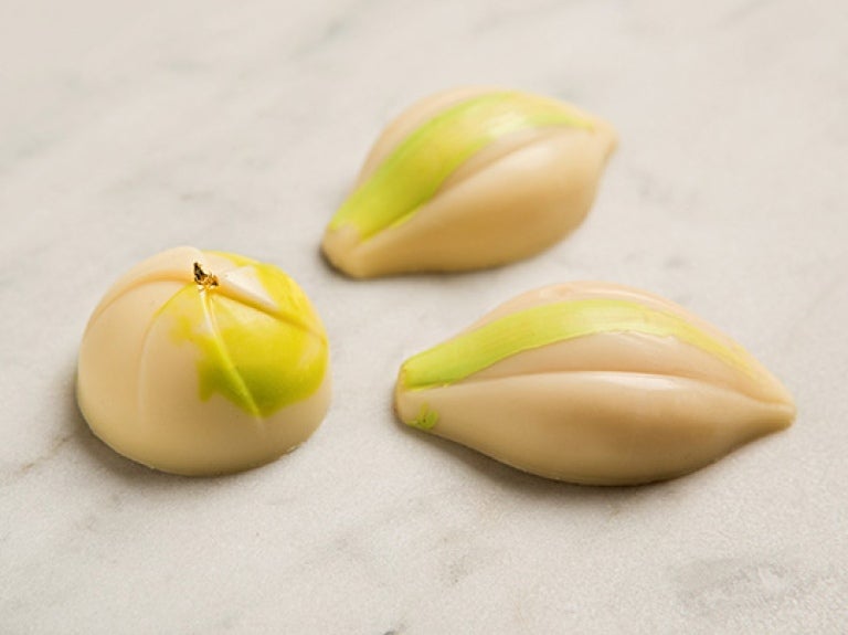 pasticceria-box-galak
