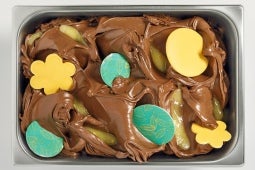 Cioccolato Vegano alla Camomilla