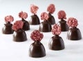 Praline di Cioccolato Luisa 70% e Ganache ai Lamponi e Lime