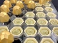 Pralina Gold con Crema e Cioccolato Galak