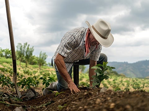 Farmers coffee