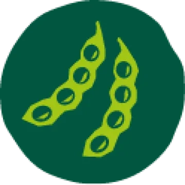 beans